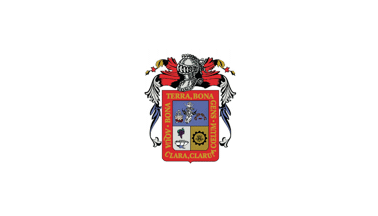 [Aguascalientes unofficial white flag
