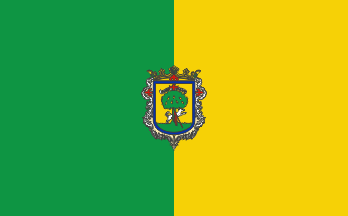Flag of Zapopan