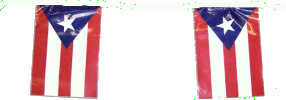 [Puerto Rico Poly Flag Strings]