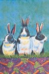 [Beryl's Bunnies Banner]