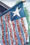 [Patriotic Porch Banner]