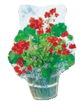 [Red Geraniums Banner]