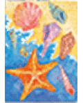 [Shells by the Shore Banner]
