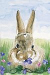 [Garden Bunny Banner]