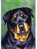 [Rottweiler Dog Banner]