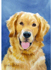 [Golden Retriever Dog Banner]