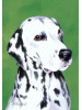 [Dalmatian Dog Banner]