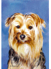 [Yorkie Dog Banner]
