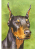 [Doberman Dog Banner]