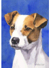 [Jack Russell Terrier Dog Banner]