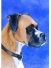 [Boxer Dog Banner]