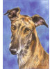 [Greyhound Dog Banner]