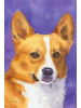[Corgi Dog Banner]