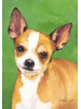 [Chihuahua Dog Banner]