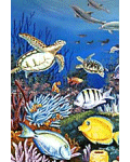 [Tropical Fish Banner]