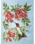 [Trumpetvine Hummingbird Banner]