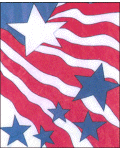 [Stars And Stripe Banner]