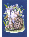 [Cats Banner]