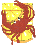 Crab Fest Banner