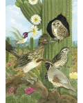 [Southwest Birds Banner]