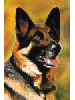 [German Shepherd Dog Banner]