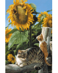 [Tabby & Sunflowers Banner]