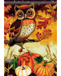 [Evening Owl Banner]