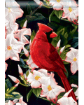 Garden Cardinal Banner