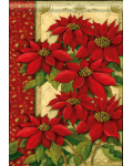 [Poinsettias Banner]