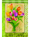 [Tulip Splendor Banner]