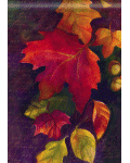 [Turning Leaves Banner]