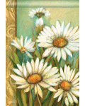 Daisies Banner