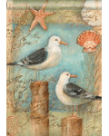 Seagulls & Shells Banner