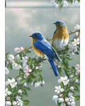 [Bluebirds and Blossoms Banner]
