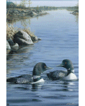 Loon Pair Banner