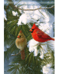 [Cardinals In Snow Banner]
