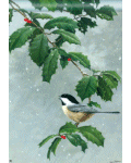 [Chickadee In Holly Banner]