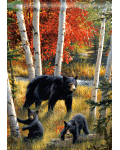 [Black Bear Family Banner]