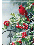 [Hollyberry Cardinal Banner]