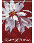 [White Poinsettia Banner]