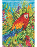 Pretty Parrot Banner