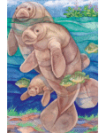 Manatees Banner