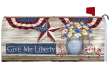 [Give Me Liberty Mailbox Cover]