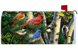 [Birch Tree Songbirds Mailbox Cover]