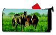 [Morning Meadow Mailbox Cover]
