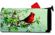 [Spring Pair Mailbox Cover]