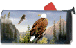 [Bald Eagles Mailbox Cover]