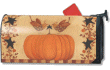 [Autumn Stars Mailbox Cover]