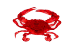 Steamed Crab fisherman's catch flag