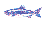 Lake Trout fisherman's catch flag